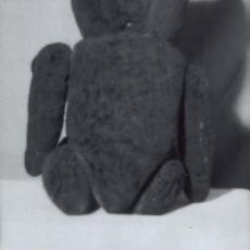 Ours, dos, tirage, sténopé, 1999.